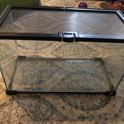 Small Terrarium 
