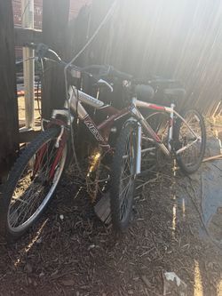 Bikes