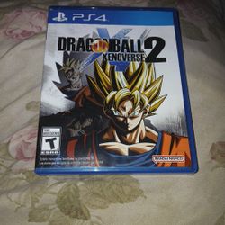 A $25 DBZ Game 