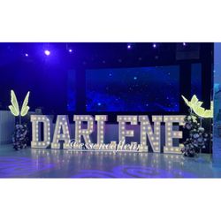 Marquee Letters And LED Butterflies 