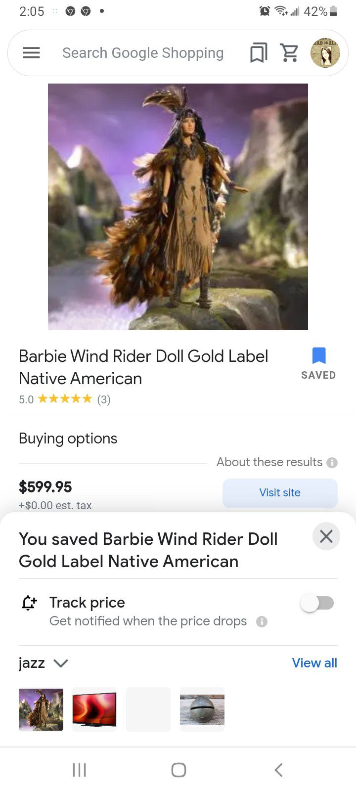 Barbie Wind Rider Doll Gold Label Native American