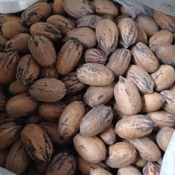 Texas Pecans