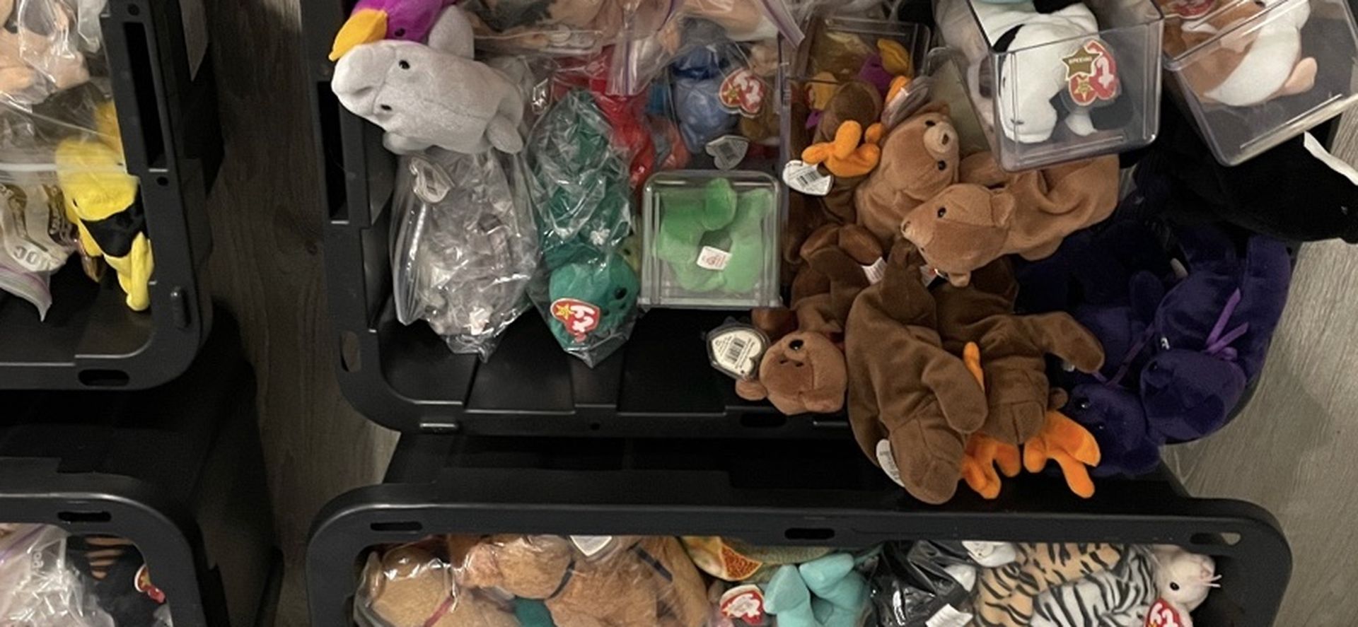 Beanie Babies. Lots Of Them.