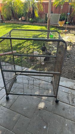 Big cage for birds