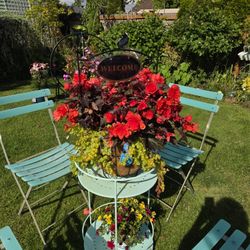 Beautiful Welcome Begonia Basket 🧺 