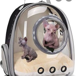 Sphynx Shirts/ Cat Bag 