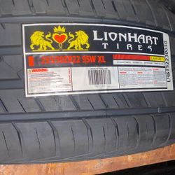 255/30-22 Lionhart