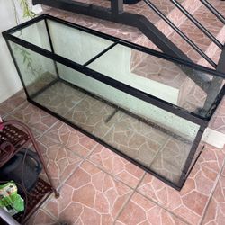 55 Gallon Fish Tank & Stand + Accessories 