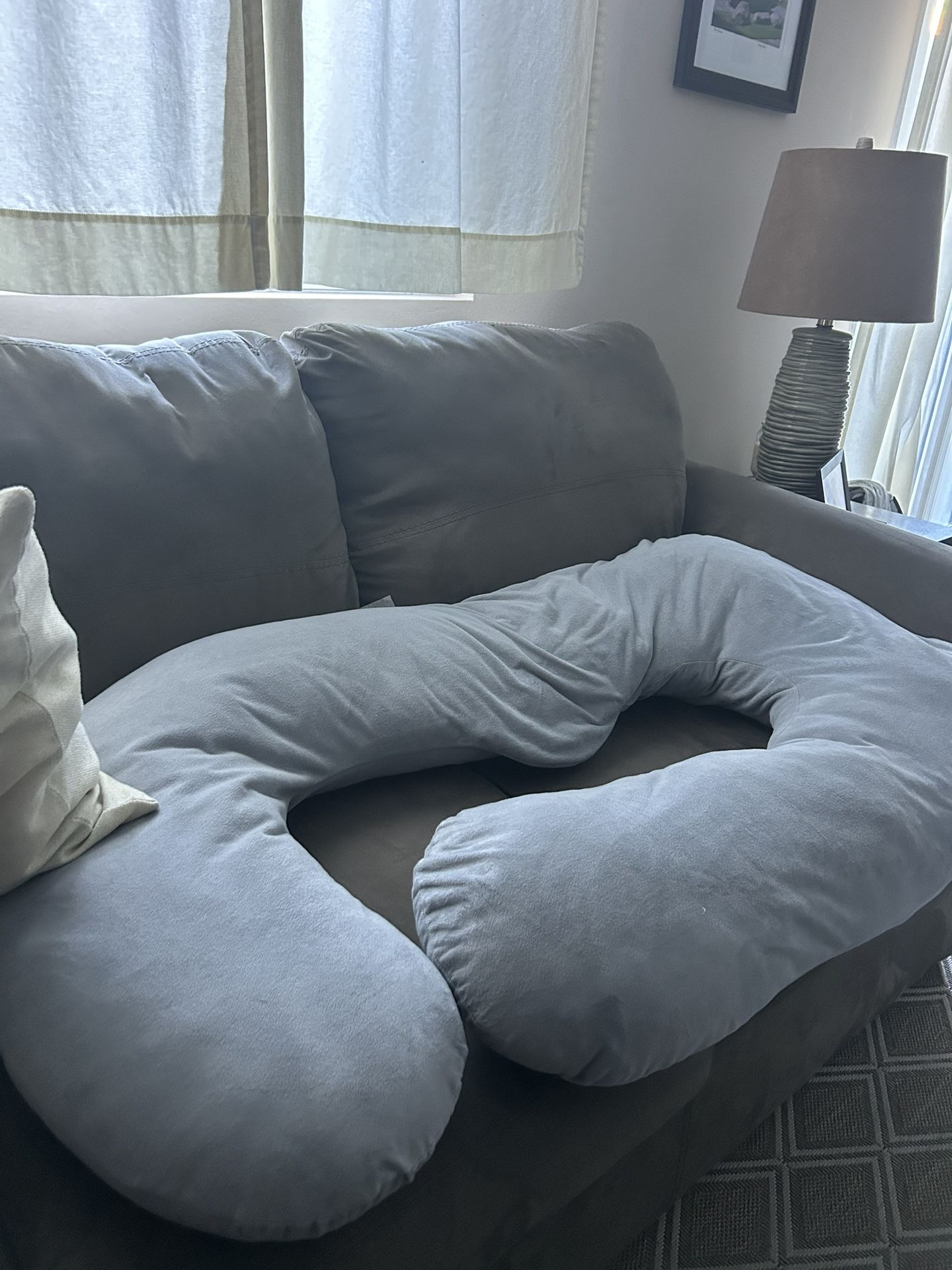 Pregnancy Pillow
