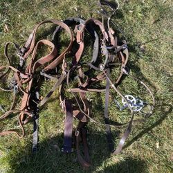 Horse Tack