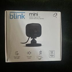 Blink mini black camera