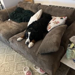 Mordecai 89'' Corduroy Sleeper Sofa