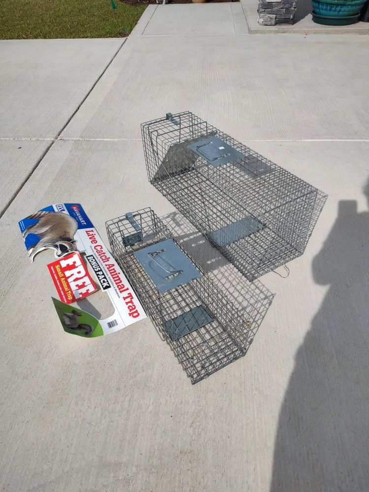 Animal Traps
