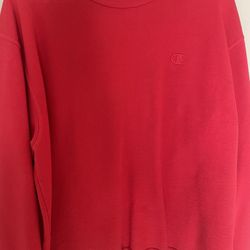 Champion hoodie and crewneck 