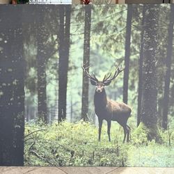Elk In The Woods Photo on Canvas (48"W x 36"H x 1.5"D)