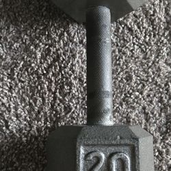 20lb Dumbbell 