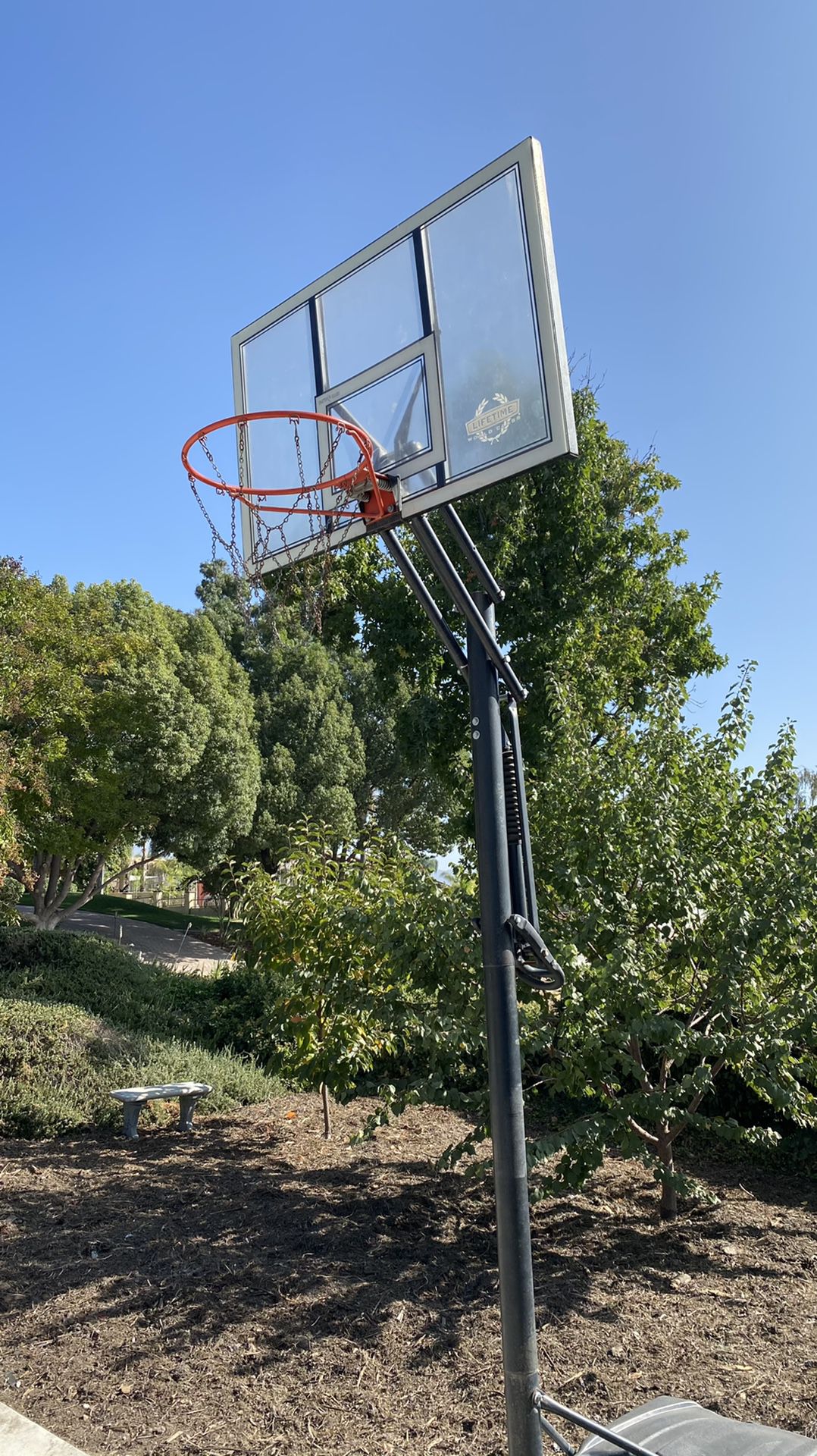 Basketball Hoop with adjustable height (used)