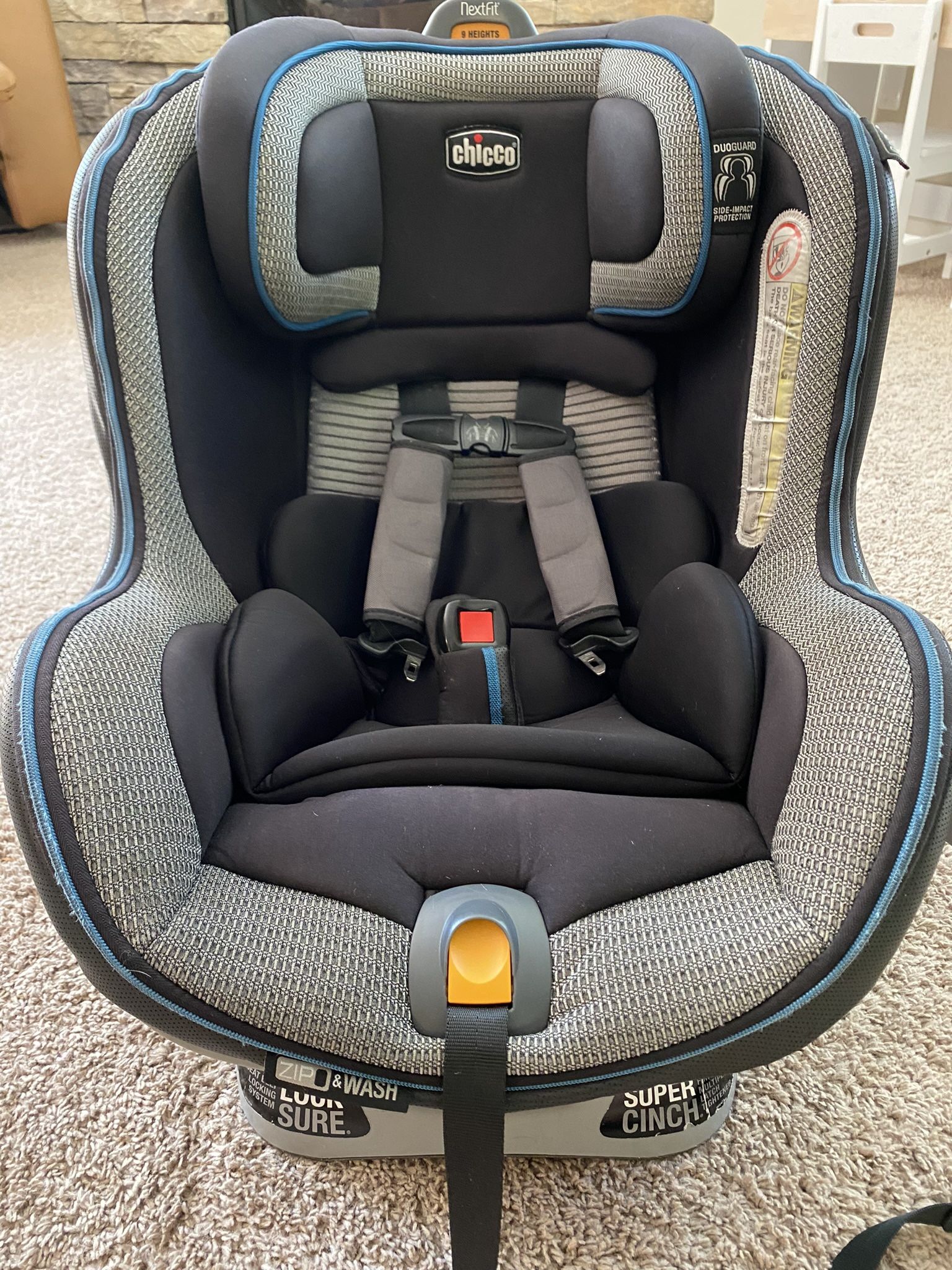 Chicco Toddler Car Seat