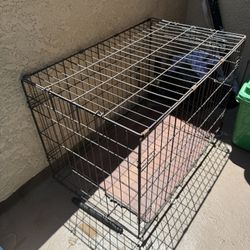 Kennel