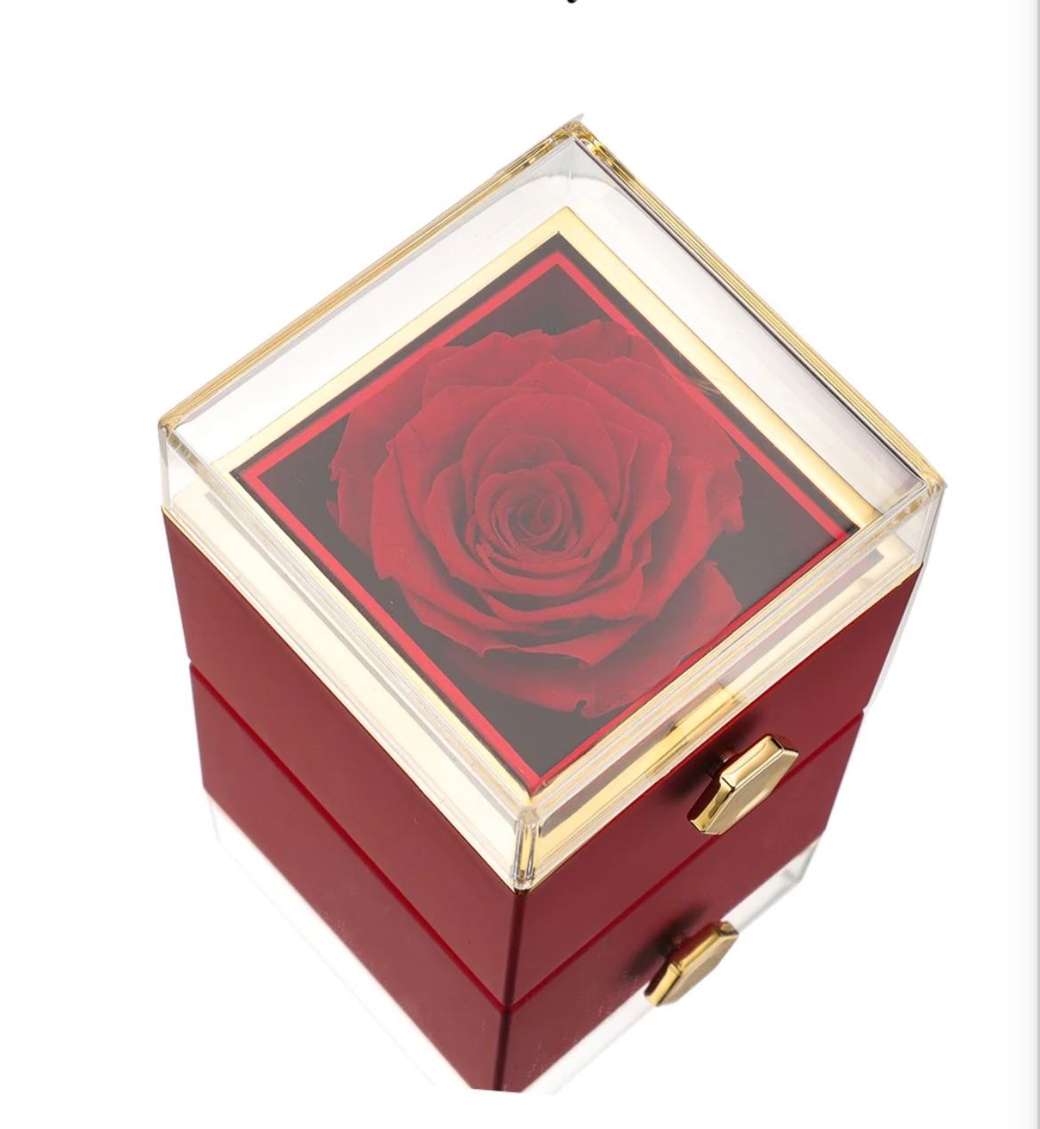 Eternal Rose Box w/silver infinity necklace and Real Rose