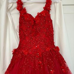 Quinceanera Dress 
