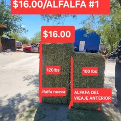 Alfalfa #1 $16.00  Deliveries Over 100 Bales