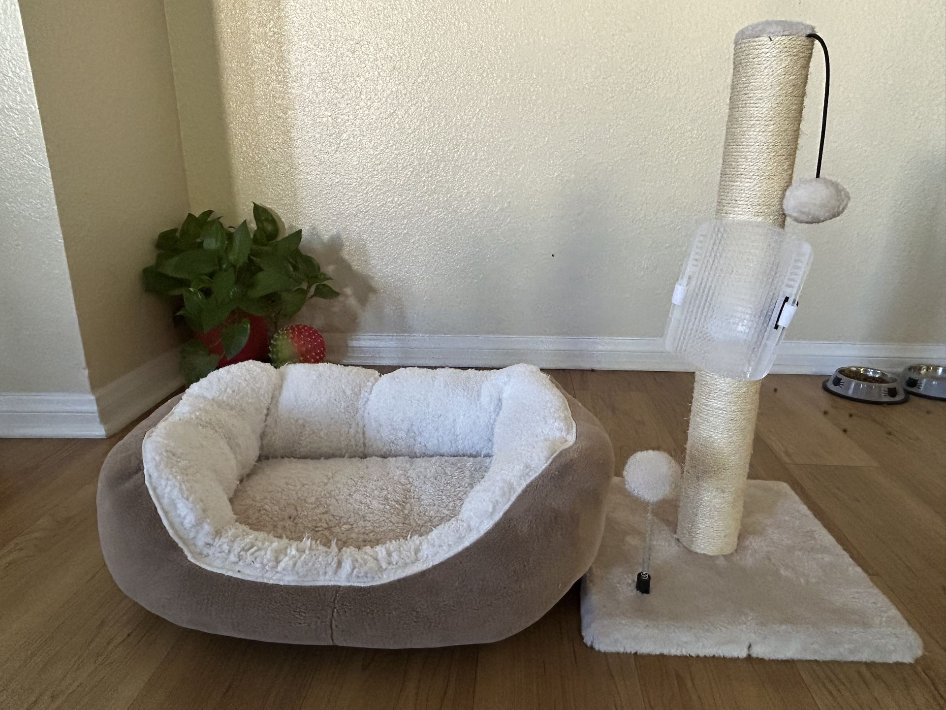 Cat Bed And Scratch Post