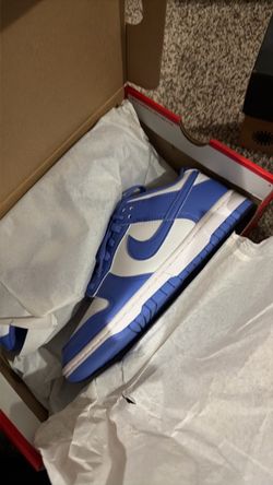 Women dunks brand new in box