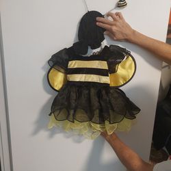 Halloween Bumblebee Costume 