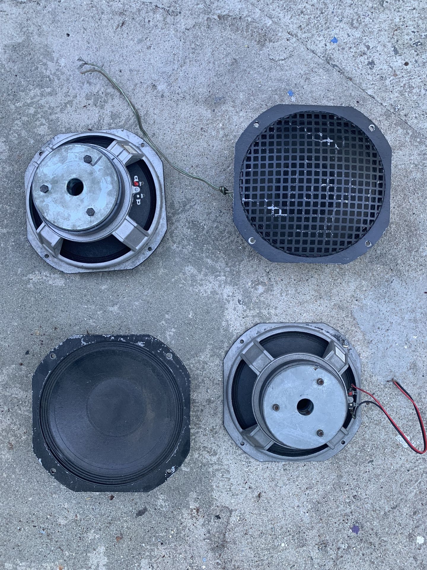 10” Peavey Scorpion Speakers ($30 Each)