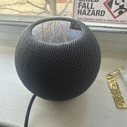 Apple HomePod Mini 