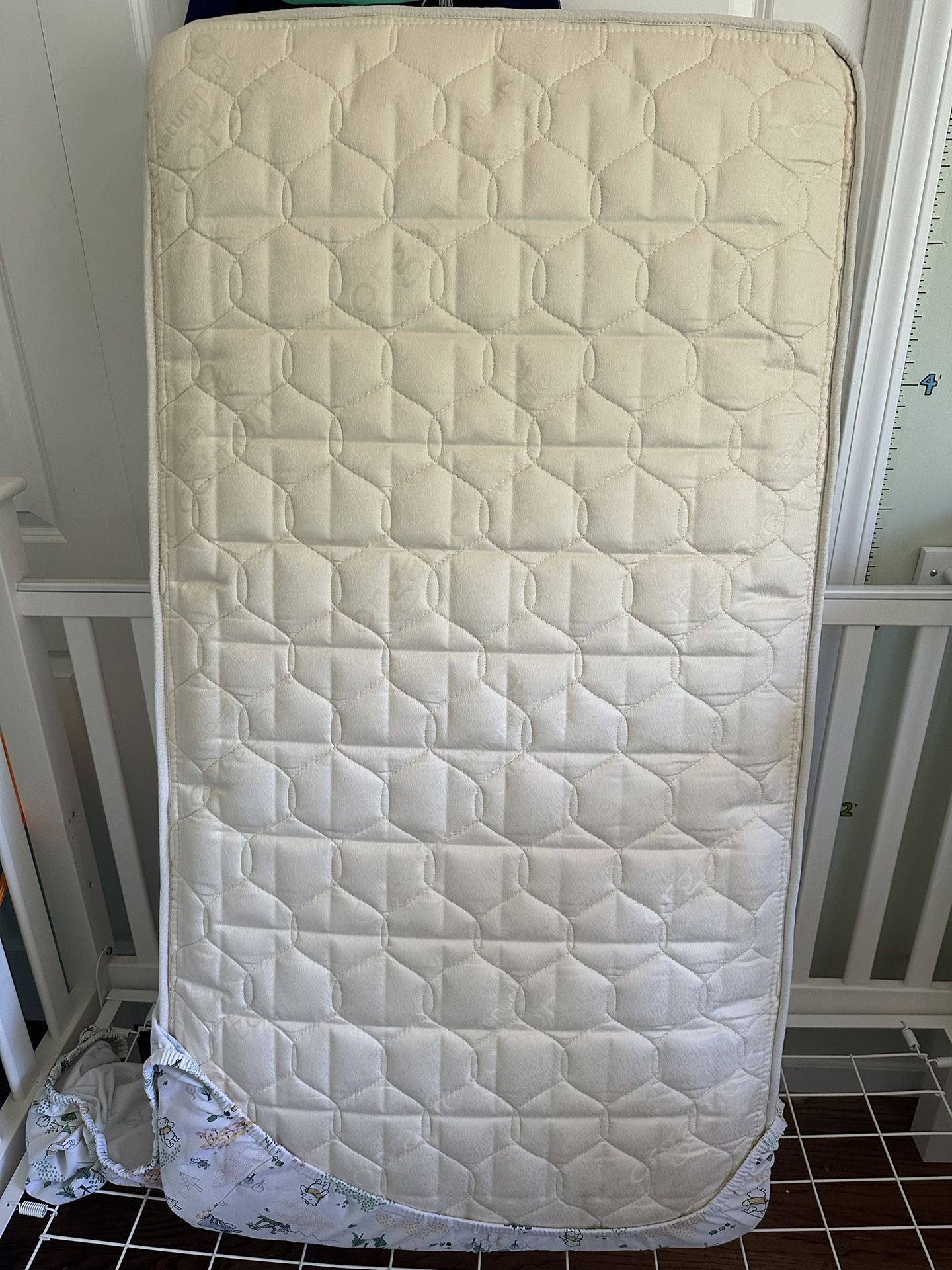 Organic crib mattress 