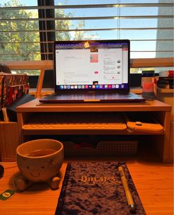 Desk Riser / Monitor Stand with Storage Shelf (Damaged, Still Works)
