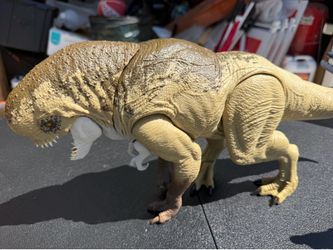 D Rex