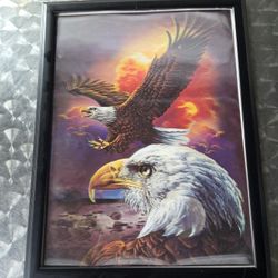 3D Eagle Pic