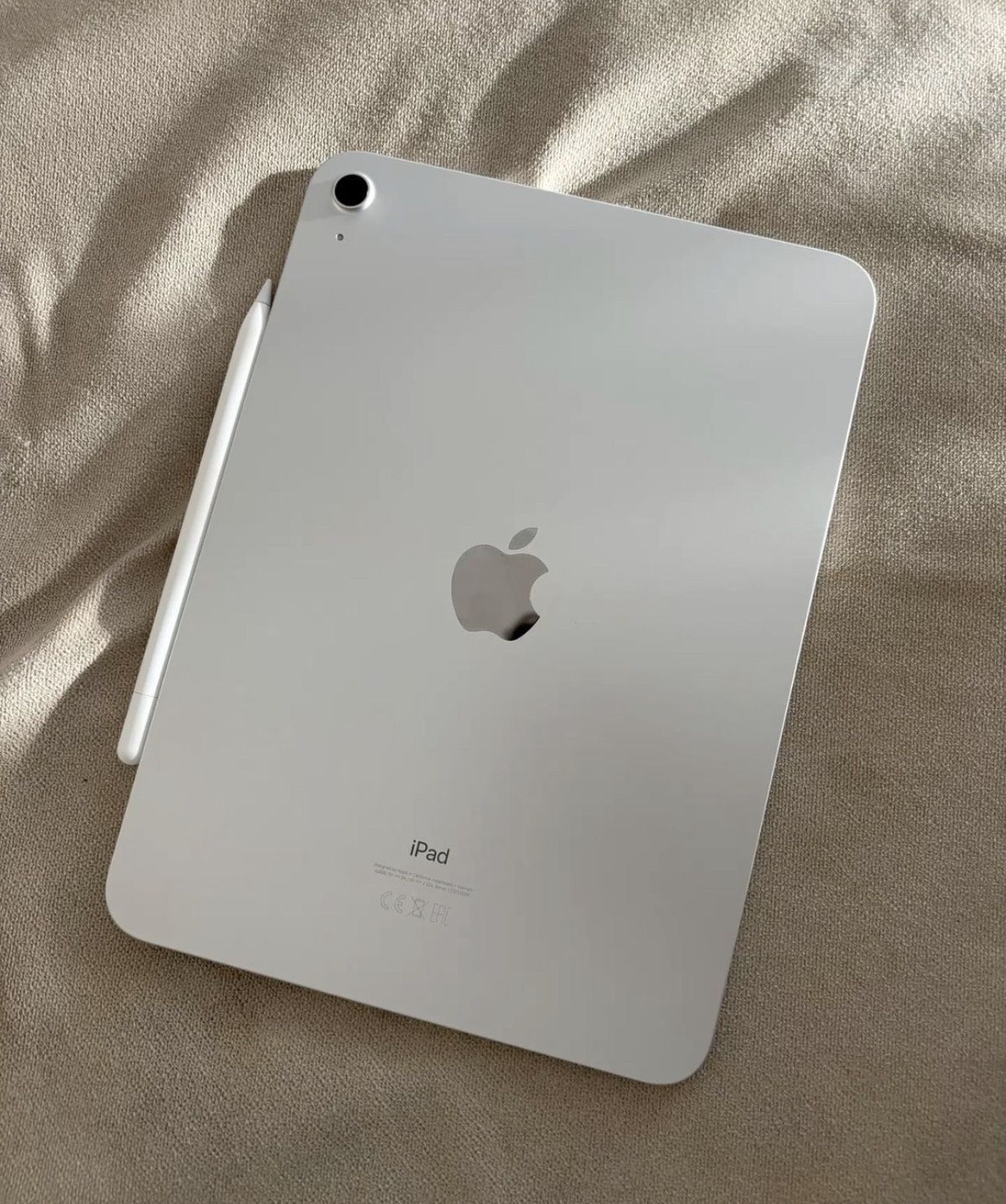 Ipad 10 Generation Factory Unlocked 256 GB