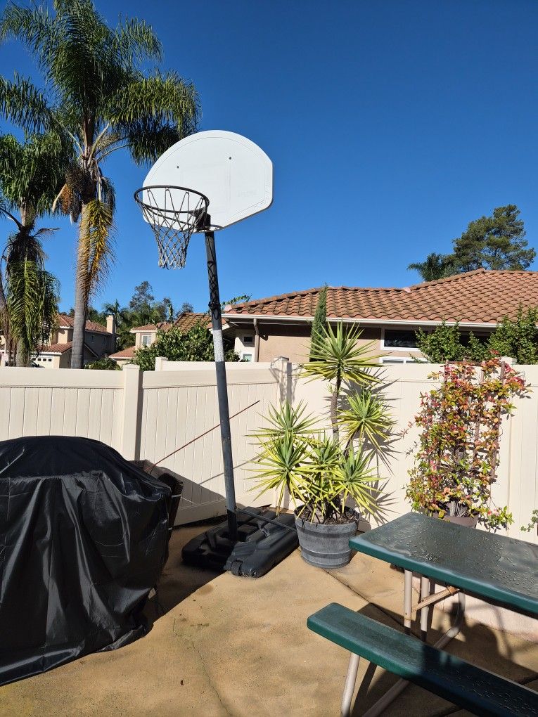 Basketball Hoop (FREE)