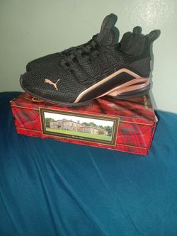 PUMAs New !