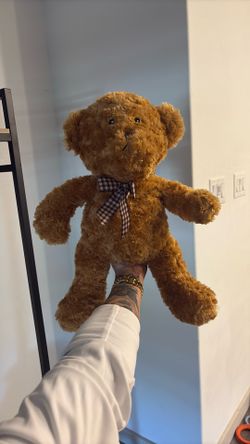 Bear