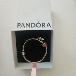 Pandora Bracelet