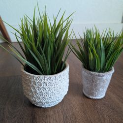 Faux Plants with Planters