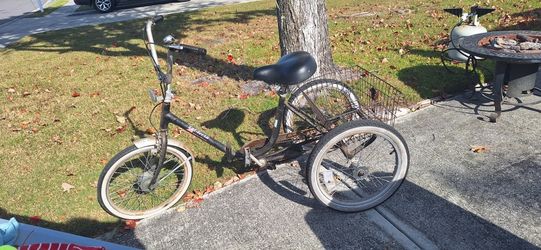 Adult Tricycle