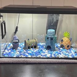 5 Gallon Aquarium 