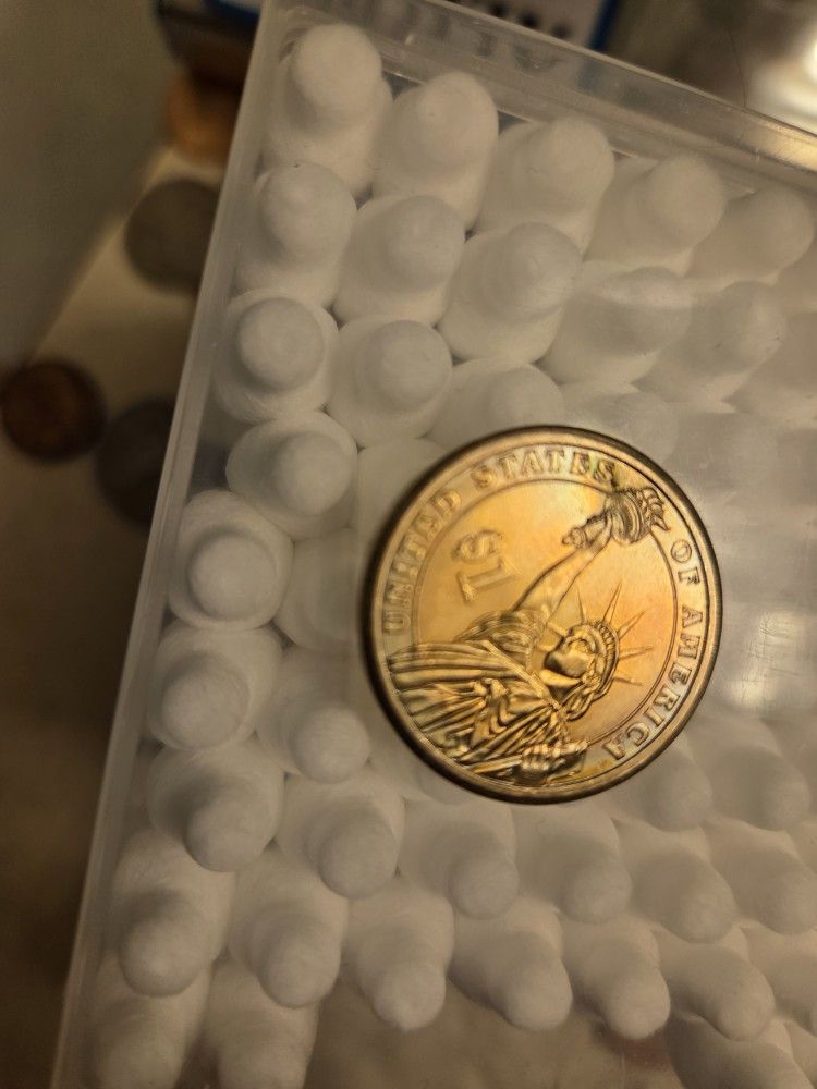 Mis cast 1 Dollar Coin.