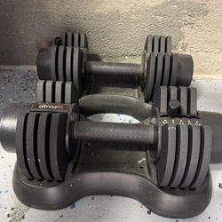 Adjustable Dumbbell Weights $80