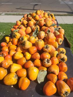 Baking persimmon