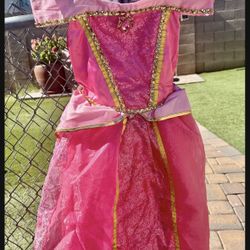 Sleeping Beauty Girls Costume