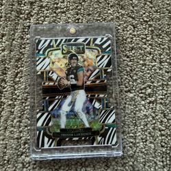 Trevor Lawrence Zebra Case hit 