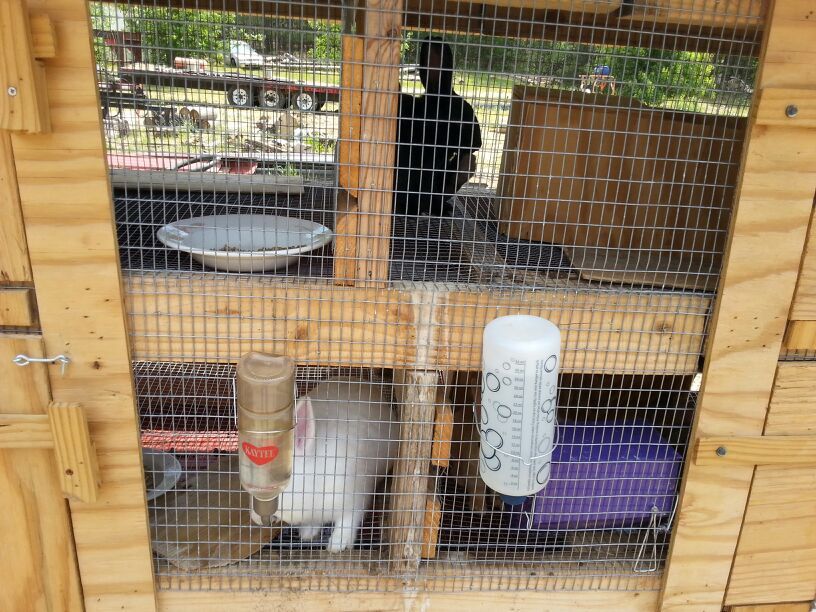 Natural Organic Rabbit Fertilizer