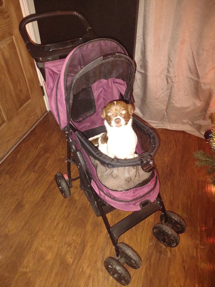 Dog Stroller